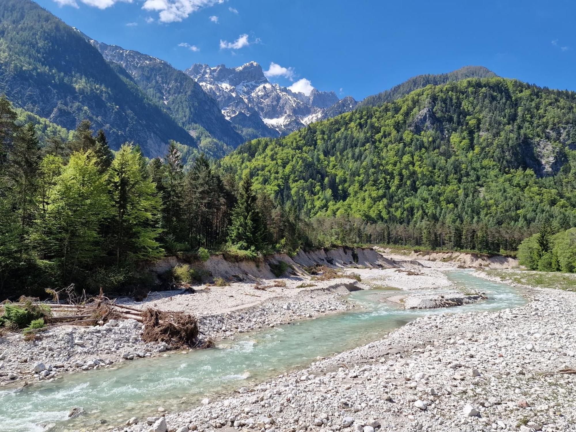 Zajcek Apartma Mojstrana Εξωτερικό φωτογραφία