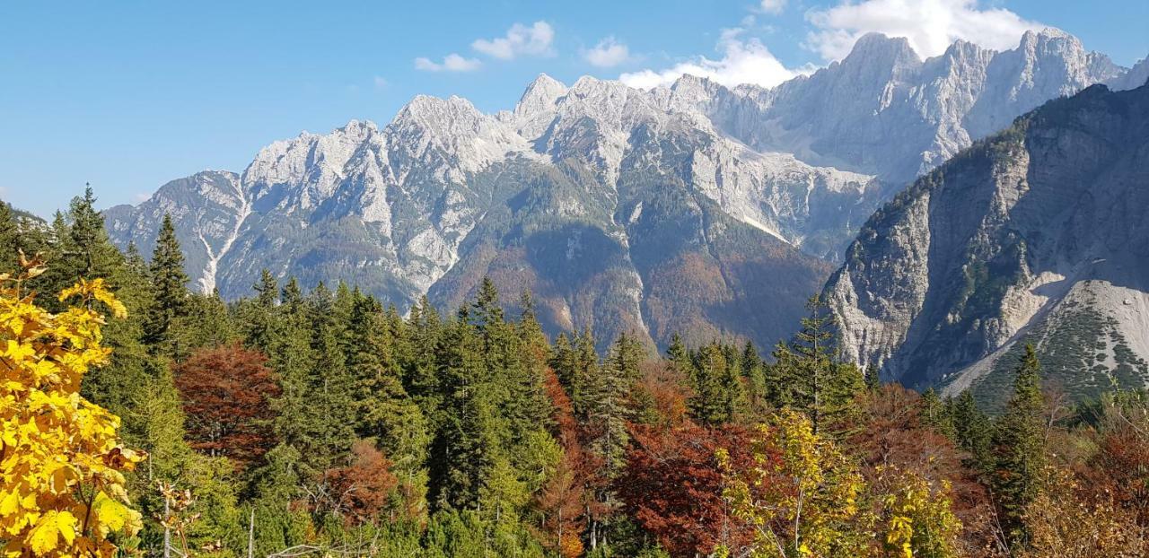 Zajcek Apartma Mojstrana Εξωτερικό φωτογραφία