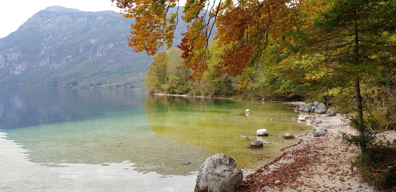 Zajcek Apartma Mojstrana Εξωτερικό φωτογραφία